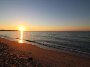 Apartment in Costa Rei near White Sand Beaches