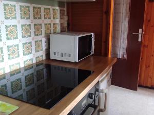 Appartement lumineux sud au cœur de Super Besse - FR-1-814-59