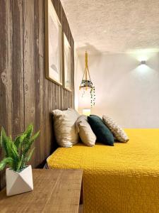 Casa Matute Zona Expo Guadalajara