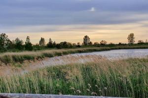 Comfortable holiday home with a large garden