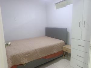 Minidepartamento Centro de Huanuco