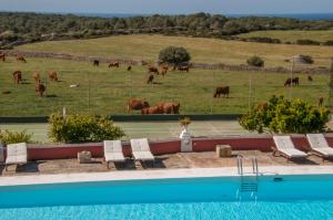 Agroturismo Son Triay