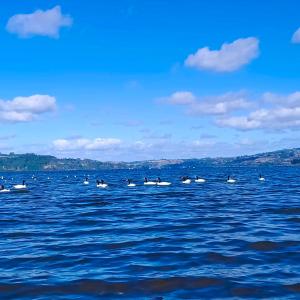 Cabaña privada con acceso a playa