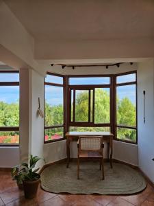 Hewani a bright & airy 1 BR apartment with an ocean view & pool