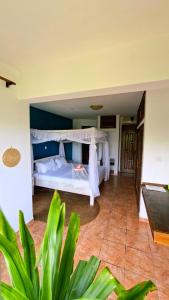 Hewani a bright & airy 1 BR apartment with an ocean view & pool