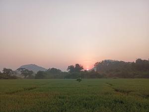 The Classic Crown Sigiriya