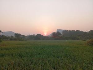 The Classic Crown Sigiriya