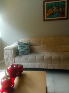 MY Home