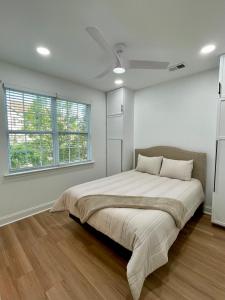 Zeus house