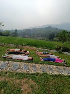 Maison de YOLO - Ha Giang Eco Retreat