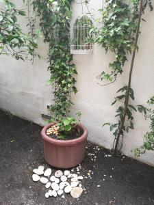 Apartment Issa -1min from the beach,free parking