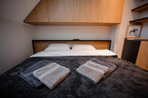 Gold Zlatibor Kalman