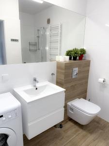 Apartamenty Waterline Kołobrzeg, Baseny i Strefa Rekreacyjna, Osiedle Feniks