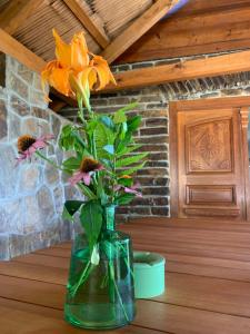 HolidayHouse Mahova koča