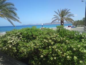 Hotel Petras Beach Lasithi Greece