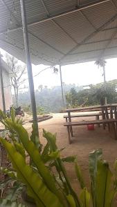 Song Ban Mountain Homestay
