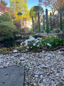 Appartement am Teich