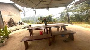Song Ban Mountain Homestay