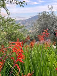 La Posada B&B van Finca Maran rust en gastvrij met zwembad
