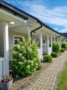 Domki Baltic Stone Rewal