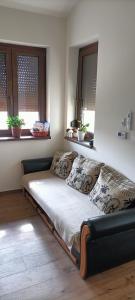 Múzsa Apartman
