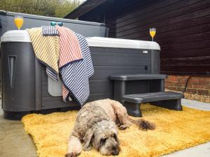 3 Bed in Bideford oc-00366