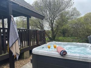 3 Bed in Bideford oc-00367
