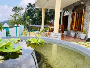 Green Birding Palace Ella