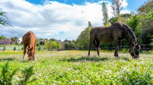Agriturismo Case Mori