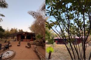 Pench Tiger Camp