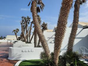 Casas Lapa