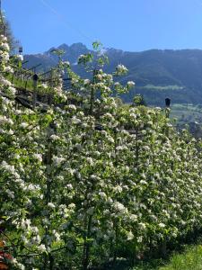 Tannerhof Bed & Breakfast