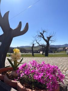 -am Fuß zum Zittauer Gebirge-