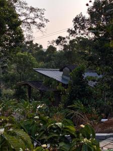 Kalyani Resort