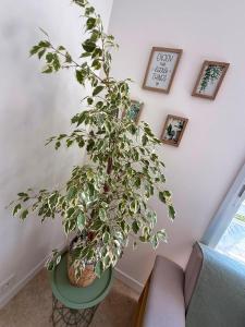 JUAN-LES-PINS apartment Sleeps 2