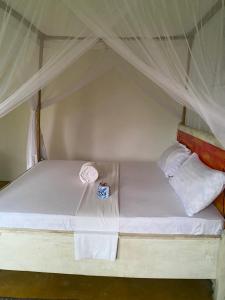 Rasta Eco Village