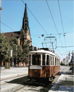 Downtown Flat under Spilberk Castle