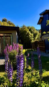 Del Lago Departamentos