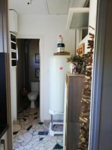 Les Palmiers, T2 confortable en rez de jardin, bord de mer, terrasse