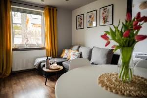 Apartament nad Bukówką