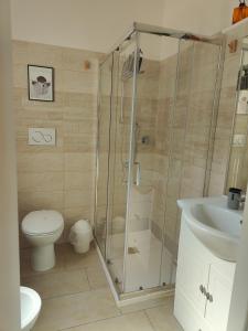 Bologna Travel Suite