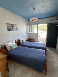 Blue Dolphins 2 bedroomed house with court yard