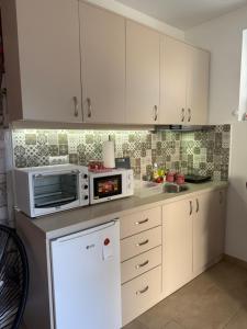 Apartman Petra Sokobanja