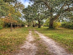 Villa à Messanges – 2 chambres – Cadre forestier - FR-1-857-44