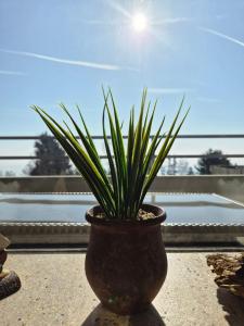 Vier Jahreszeiten 1-34