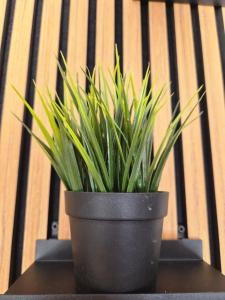 Vier Jahreszeiten 1-34