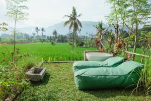 Green vanilla kabin