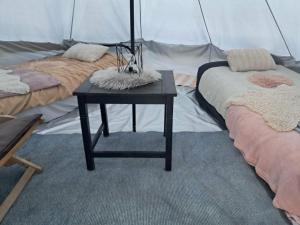 Camp THEA, 4 Yurta glamping TENTS