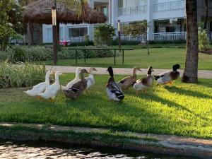 GOLF VILLE RESORT - Porto das Dunas- BEACH PARK