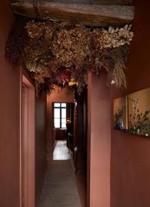 Le Nid Fleuri - Séjour familial à Tournai